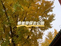 -月坛公园
