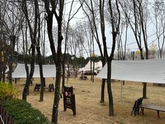 -中华郡文化旅游景区