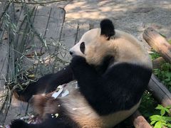 -天目湖御水温泉·度假酒店