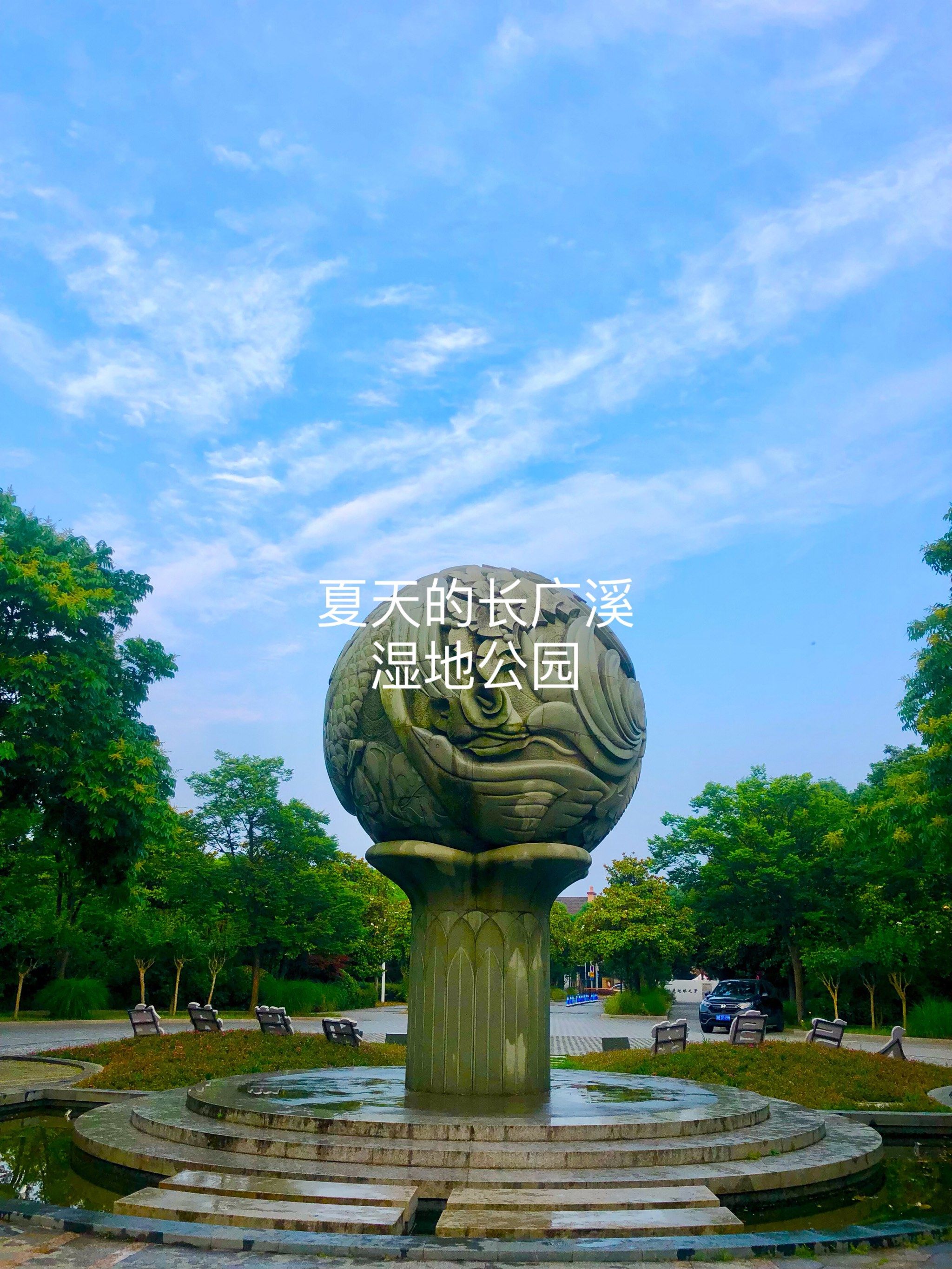 夏天的长广溪湿地公园美景尽收眼底