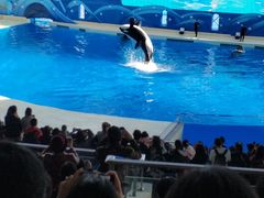 -上海海昌海洋公园-停车场