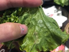 -海之屋韩式烤肉(海棠68环球美食街店)
