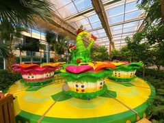 -南宫五洲植物乐园