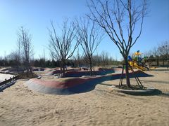 -东郊湿地公园
