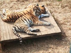 -大连森林动物园