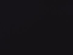 -新白鹿餐厅(世博源店)