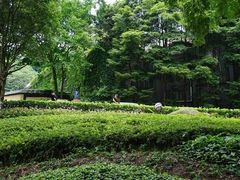 -重庆彩云湖湿地公园