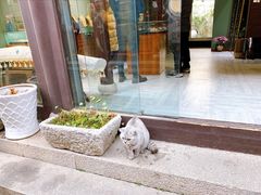-衣裳街历史文化街区