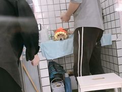 -BABYDOG宝贝狗宠物乐园(欧洲城店)