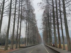 -青城山