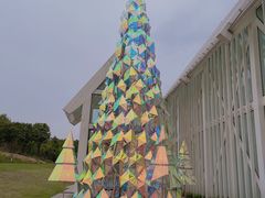 -大塘金香草谷