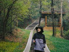 -青龙山国家森林公园
