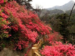 -木兰云雾山