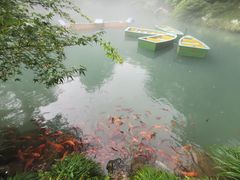 -灵栖洞天