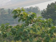 -崂山巨峰游览区