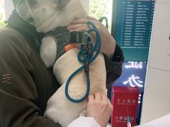 -申普宠物医院·眼科·心内科·影像科(普陀分院)