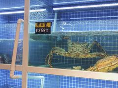 -金龙·打边炉(南京西路店)