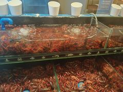 -星伦多自助料理·涮烤一体(江桥万达店)