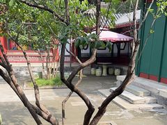 -宫事颐庭·老佛爷贵寿下午茶(颐和园店)