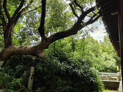 -八大山人梅湖景区
