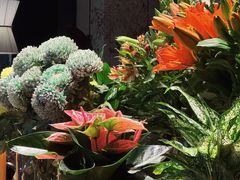 -Ameigo梅果·云贵川bistro(长宁来福士店)