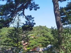 -妙峰山风景名胜区