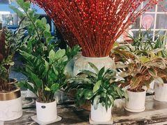 -鹿港小镇(黄金店)