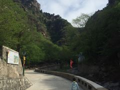 -北京上方山国家森林公园