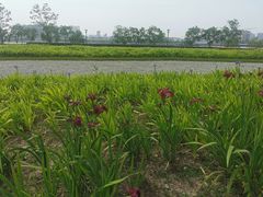 -上海山野camping·户外天幕烧烤·团建拓展营地