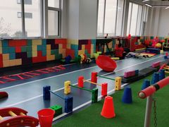 -早慧树儿童感觉统合体能训练中心(市北校区)