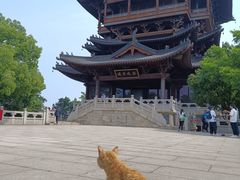 -杭州半山国家森林公园