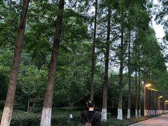 -昆山城市生态森林公园