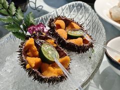 -日月昇渔家菜·海肠捞饭·大连海鲜(星海公园店)