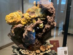 -青田石雕博物馆