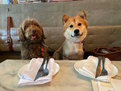 -The Rug Cafe(王府中环店)