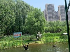 -长白岛森林公园