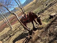 -泸沽湖国家级风景名胜区走婚桥