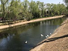 -思念果岭悦温泉