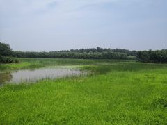 -东郊湿地公园