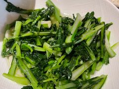 -唐猫庭院·千年陕菜(大唐不夜城店)