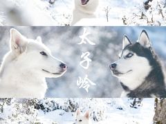 -太子岭滑雪场