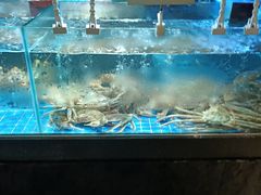 -徐记海鲜(梅溪新天地店)