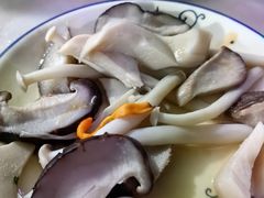 -仙蘑洞