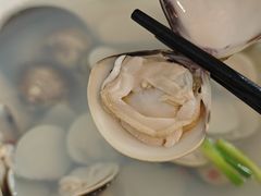 -北海金海湾红树林生态旅游区