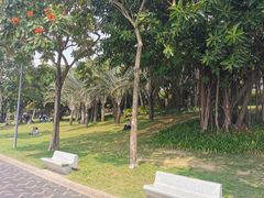 -深圳湾公园(南山区)