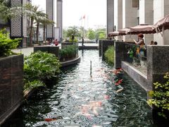 -佛山复星禅诚医院