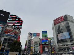 -涩谷全向十字路口