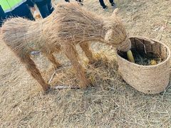 -梁鸿国家湿地公园