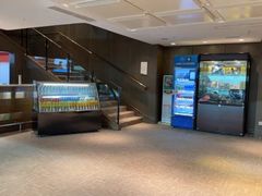 -齐动力网球(国贸店)