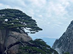 -黄山风景区